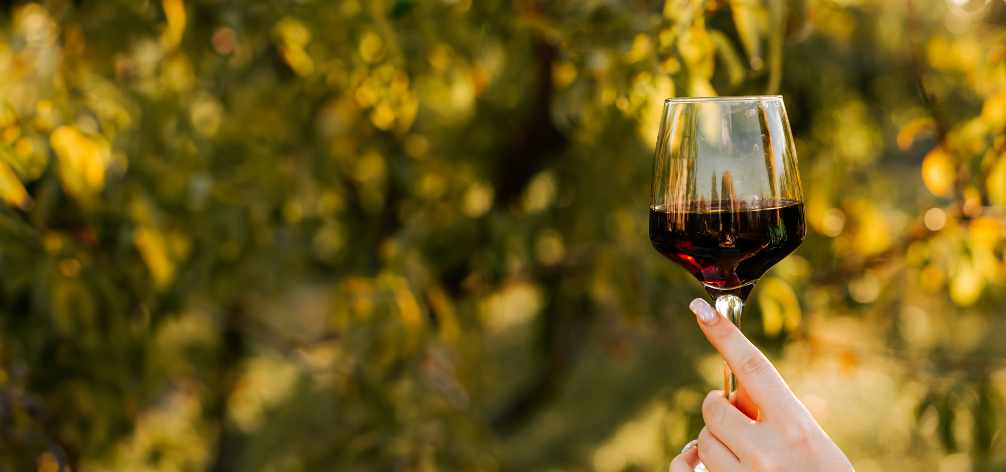 Red Wine Tagged 